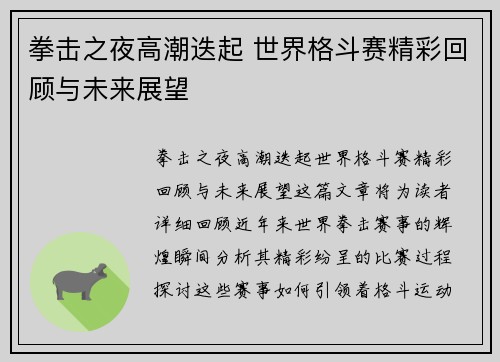 拳击之夜高潮迭起 世界格斗赛精彩回顾与未来展望